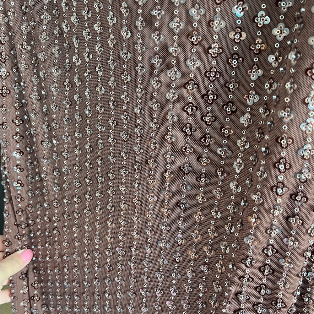 Abercrombie & Fitch Strapless Sequin Brown Dress - Picture 5 of 10